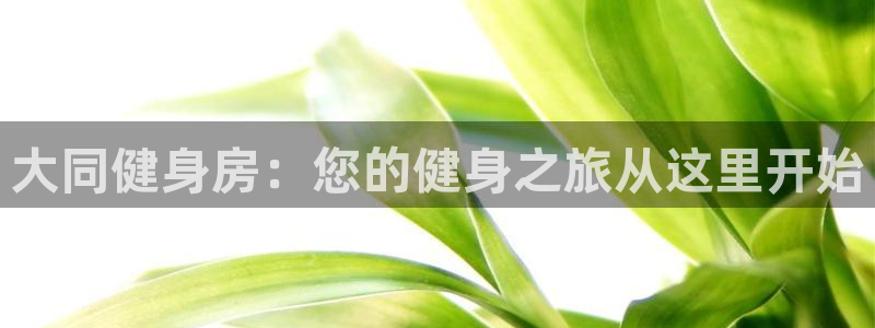 尊龙凯时公司官网