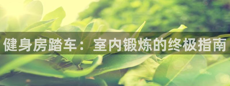 尊龙z6官网登录