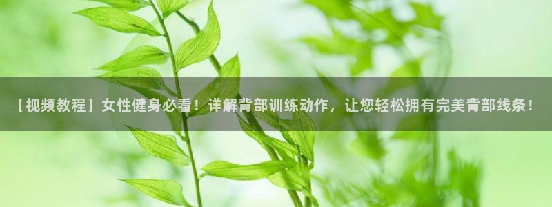 凯时AG登录入口官方版